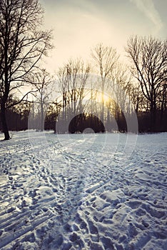 German forest in winter with Snow Bayern, Munich