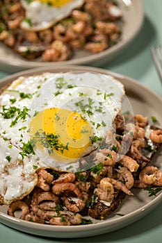 German Friesland north sea shrimps with whole grain bread, fried egg and parsley