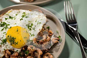 German Friesland north sea shrimps with whole grain bread, fried egg and parsley