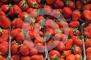 German grown strawberry market in Copenhagen DenMark