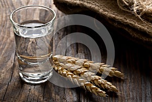 German hard liquor Korn Schnapps in shot glass with wheat ears