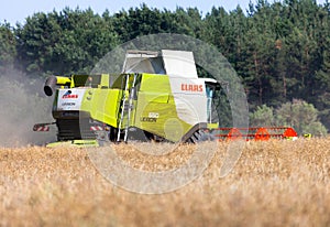 German havester Claas Lexion 650 works on a corn field