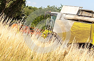 German havester works on a corn field