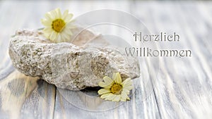 German Herzlich Willkommen  english Welcome  service card. Spa, hotel or gift background with stone and yellow daisy