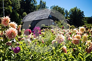 German house with flowers in Frutillar in Chile