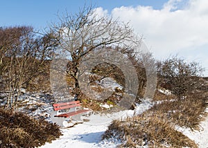 Spiekeroog in the winter photo