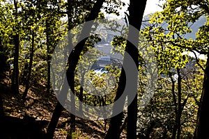 the german kellerwald forest