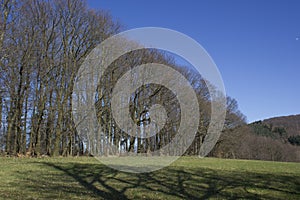German landscape Odenwald