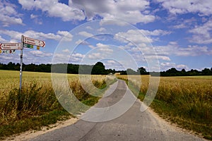 German landscapes: HÃ¶xter district in North Rhine-Westphalia, Germany.