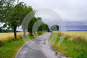 German landscapes: Northeim region, in southern Lower Saxony, Germany.