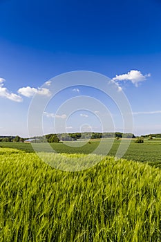 German nature lanscape photo