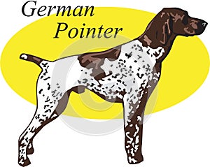 German Pointer Vector Illustration