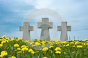 German prisoners of war cemetery in the city Lezhnevo Ivanovo re