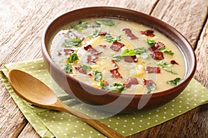 German Rumfordsuppe pea and barley economy soup with bacon close-up in a plate. horizontal