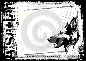 German shepherd dog background