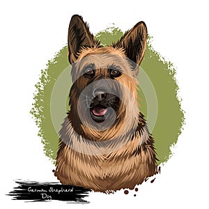 German Shepherd Dog dog breed digital art illustration isolated on white. Popular puppy portrait with text. Cute pet