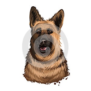 German Shepherd Dog dog breed digital art illustration isolated on white. Popular puppy portrait with text. Cute pet hand drawn