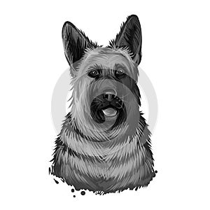 German Shepherd Dog dog breed digital art illustration isolated on white. Popular puppy portrait with text. Cute pet hand drawn