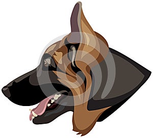 German Shepherd dog head profile color vector