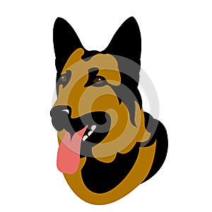 German Shepherd dog head realistic