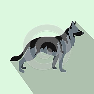 German Shepherd dog icon, flat style