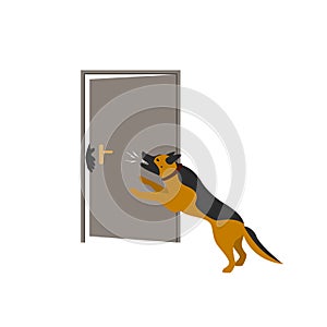 German shepherd dog protecting home from thieves photo