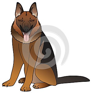 German shepherd dog vector drawing on isolated white background