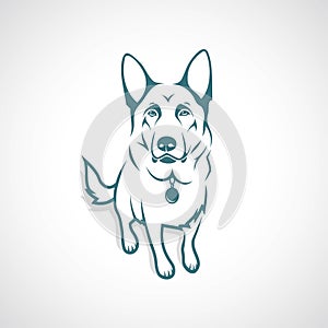 German Shepherd dog - vector illustration