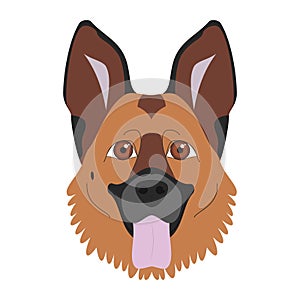 German Shepherd dog vector illustration