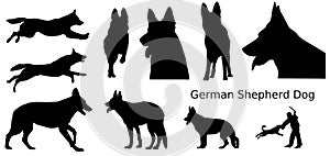 German Shepherd Dogs