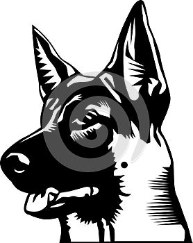 German shepherd head