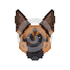 German Shepherd head in pixel art style.