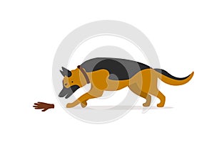 German shepherd mantrailing vector illustration