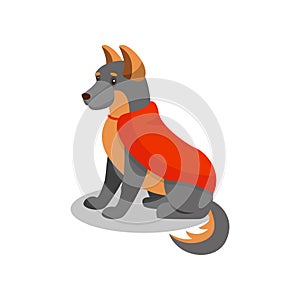 German Shepherd pedigree dog in red cape, cute puppy pet character vector Illustration on a white background