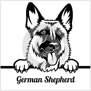 German Shepherd - Peeking Dogs - - breed face head isolated on white