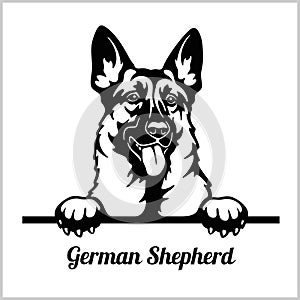 German Shepherd - Peeking Dogs - - breed face head isolated on white