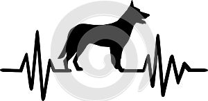 German Shepherd pulse