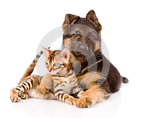 German shepherd puppy dog embracing little bengal cat.