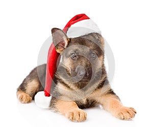 German Shepherd puppy with red hat. on white background