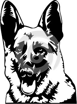 German Shepherd Vector Illustration