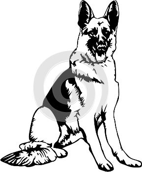 German Shepherd Vector Illustration