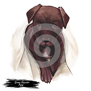 German Sheprador Dog isolated digital art illustration. Hand drawn dog muzzle portrait, puppy cute pet. Dog breeds originating