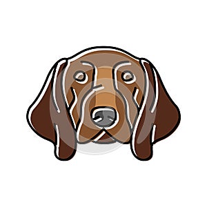 german shorthaired pointer dog puppy pet color icon vector illustration