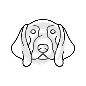 german shorthaired pointer dog puppy pet line icon vector illustration