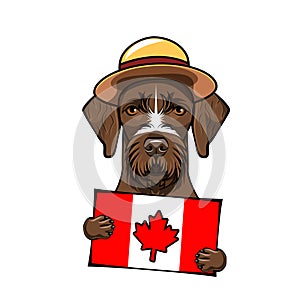 German shorthaired pointer. Happy Canada day Greeting card. Canadian flag. Vector.