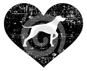 German Shorthaired Pointer in heart black and white