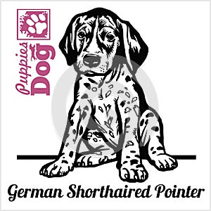 German Shorthaired Pointer puppy sitting. Drawing by hand, sketch. Engraving style, black and white vector image.