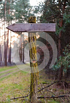German signpost path