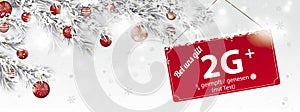 2G Plus Frozen Twigs Sun Glitter Deco Red Baubles Snowfall Header