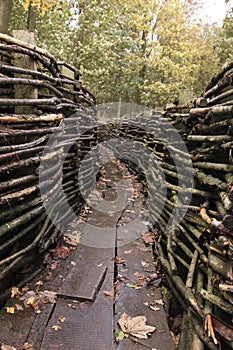 German trenches WWI - Bayernwald photo